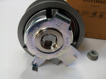 ROZRZĄD + POMPA SKODA ROOMSTER 1.4 TDI 1.9 TDI ORY